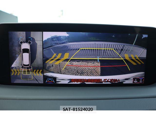 Lexus RX 2021-12 8131051-14