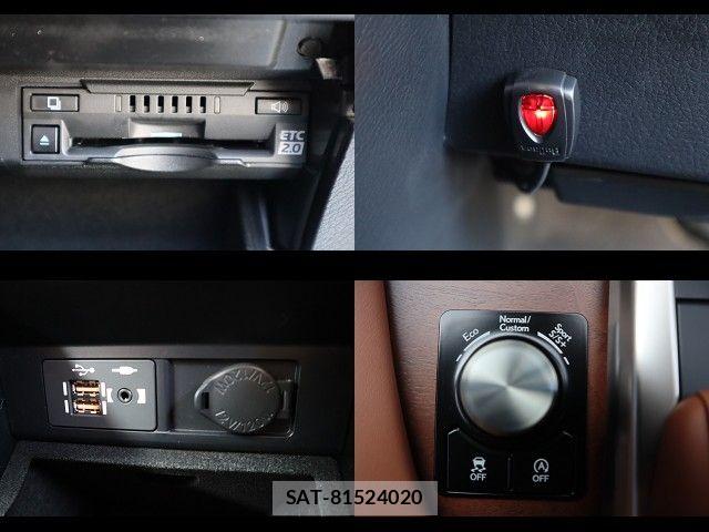 Lexus RX 2021-12 8131051-22