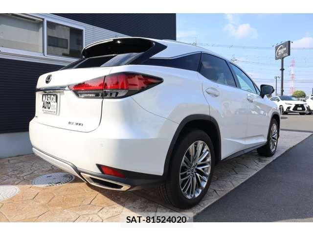 Lexus RX 2021-12 8131051-6