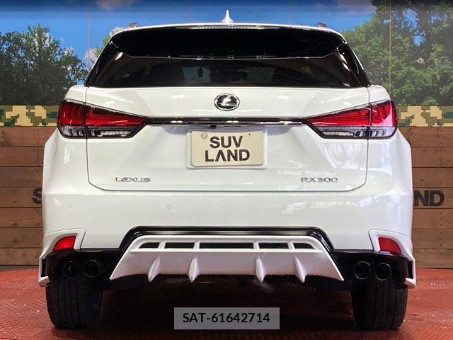 Lexus RX 2020-04 8146085-14