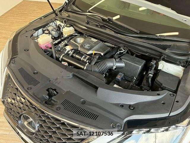 Lexus RX 2021-06 8245754-19