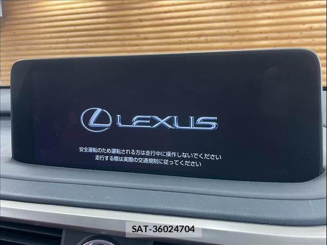 Lexus RX 2021-06 8336598-2