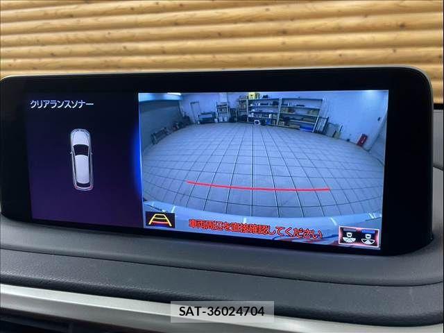 Lexus RX 2021-06 8336598-3