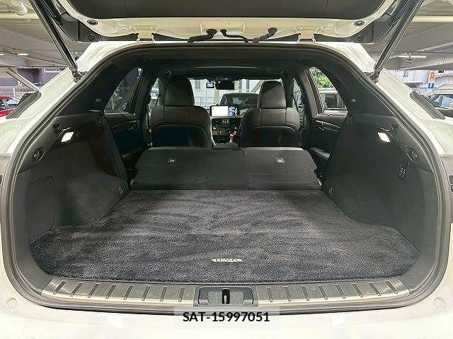 Lexus RX 2021-05 8336597-19