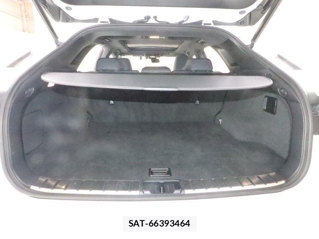 Lexus RX 2020-03 8562479-12