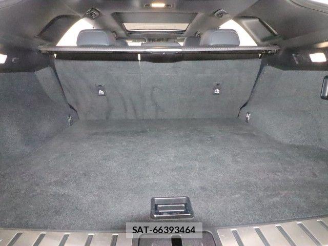 Lexus RX 2020-03 8562479-13