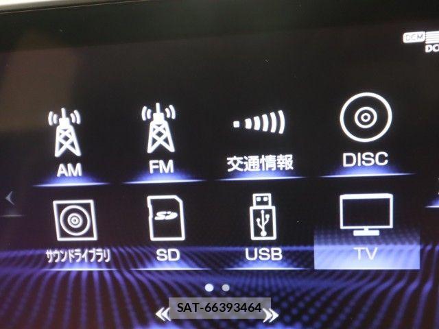 Lexus RX 2020-03 8562479-19