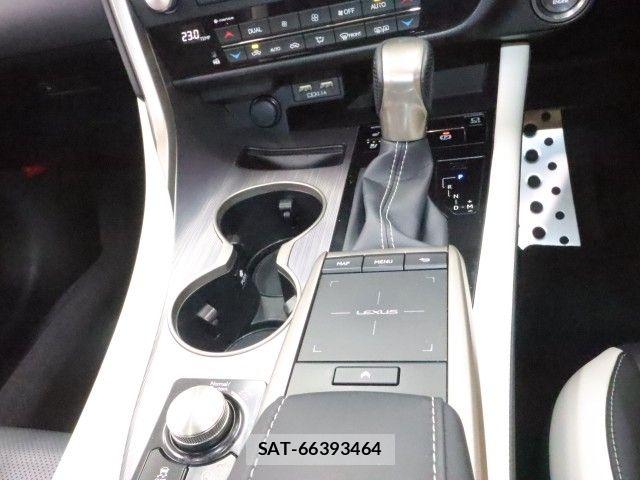 Lexus RX 2020-03 8562479-22