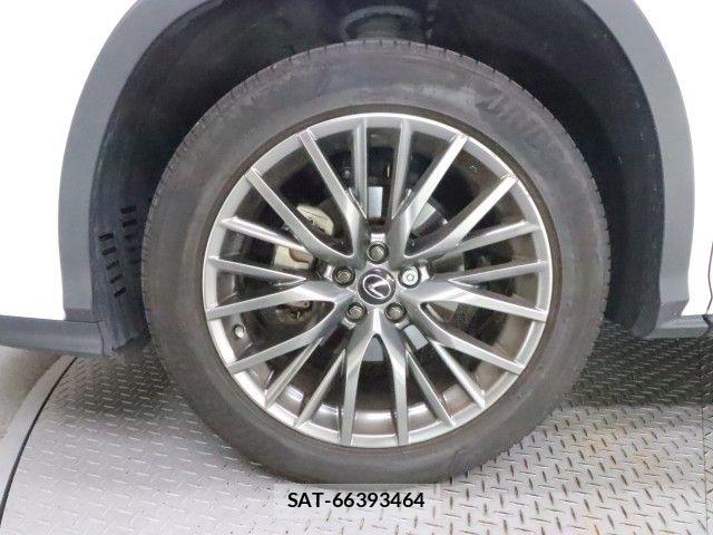 Lexus RX 2020-03 8562479-26