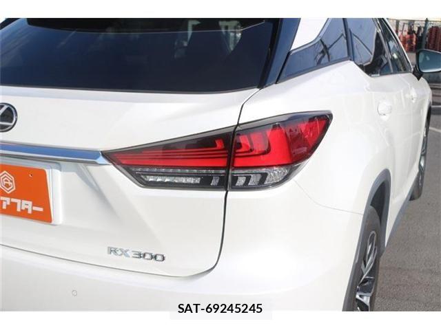 Lexus RX 2020-11 8627522-29
