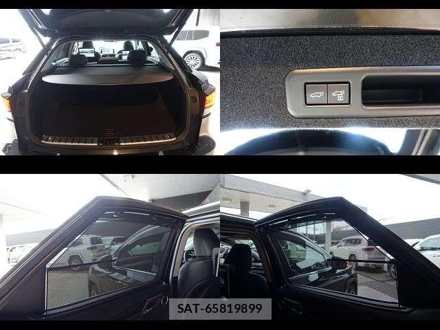 Lexus RX 2022-12 8685863-14