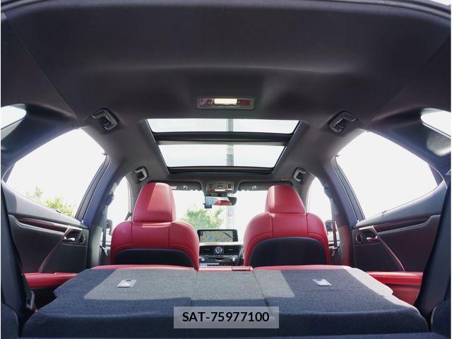 Lexus RX 2020-03 8743502-19