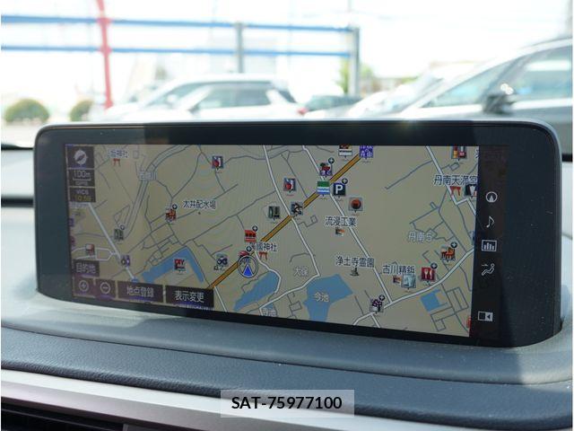 Lexus RX 2020-03 8743502-27
