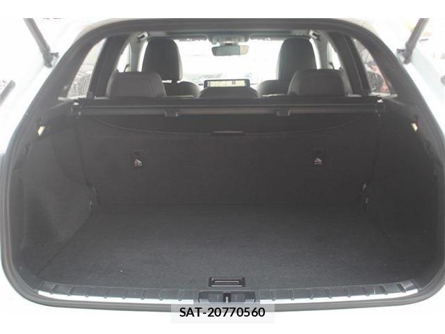 Lexus RX 2021-01 8796507-26