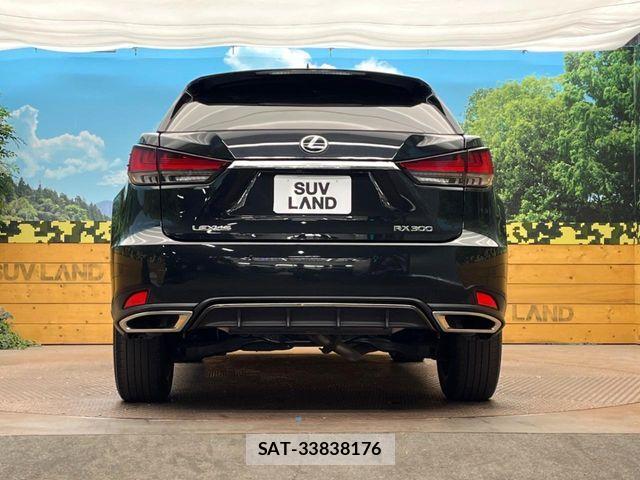 Lexus RX 2020-03 6264893-14