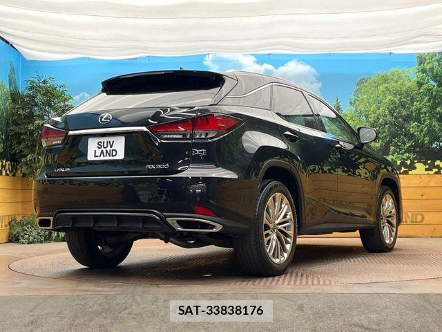 Lexus RX 2020-03 6264893-16