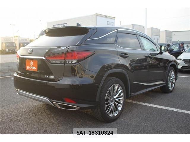 Lexus RX 2020-12 6264894-12