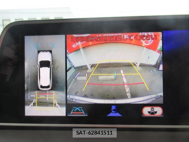 Lexus RX 2018-07 7221128-22