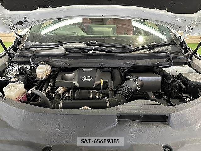 Lexus RX 2021-07 7251359-12