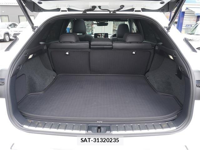 Lexus RX 2020-02 7272244-13