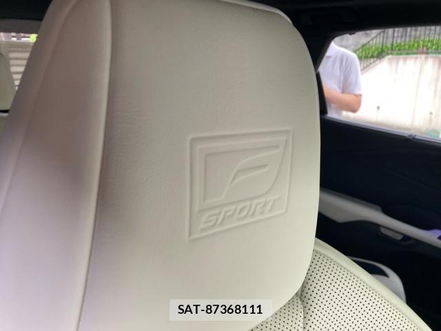 Lexus RX 2025-07 8036480-16