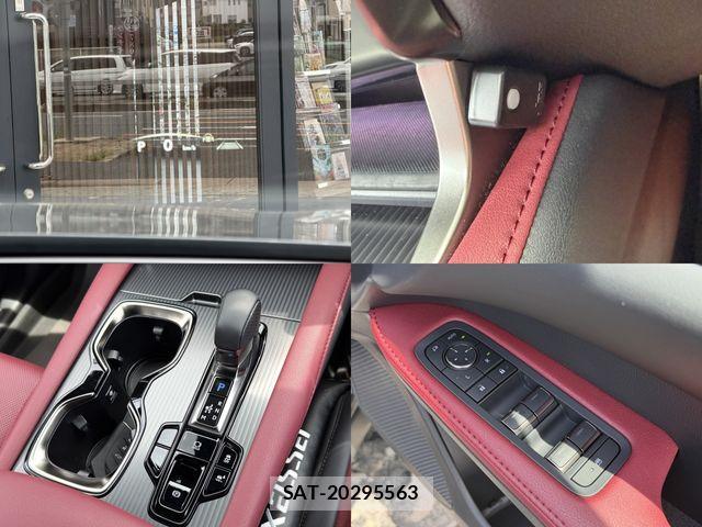 Lexus RX 2025-06 8036481-17