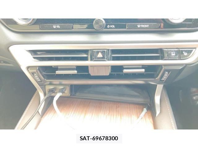 Lexus RX 2024-04 8036482-11