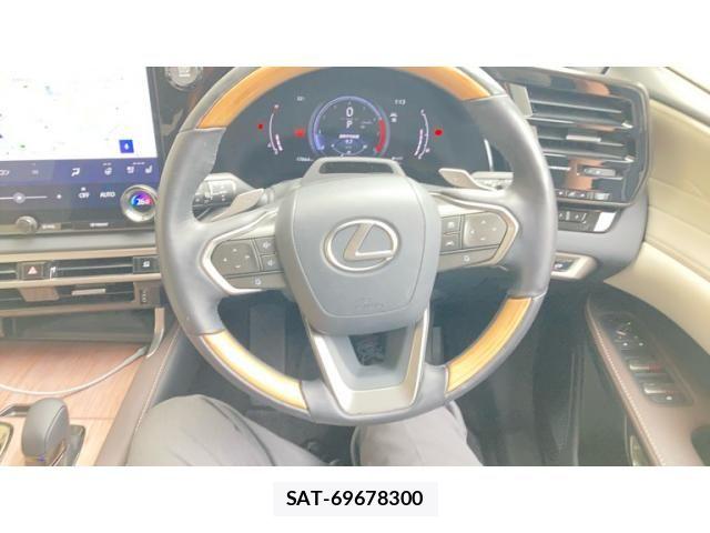 Lexus RX 2024-04 8036482-13