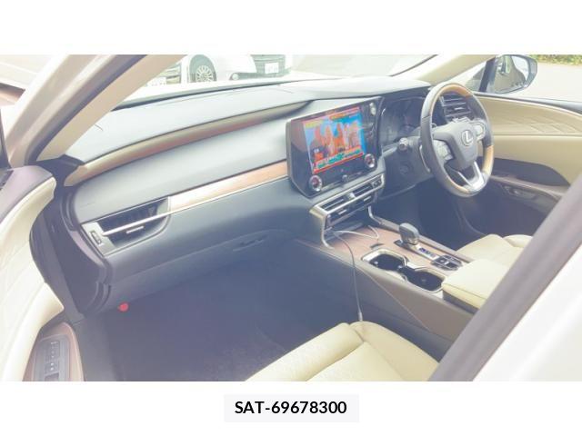 Lexus RX 2024-04 8036482-16