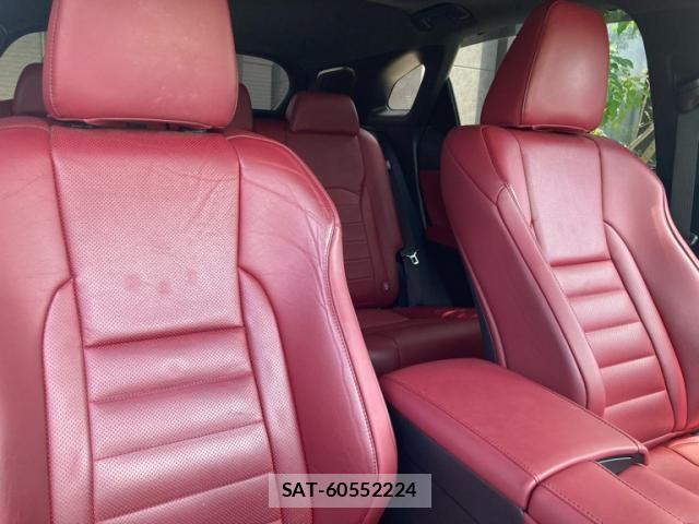 Lexus RX 2018-08 8074391-7