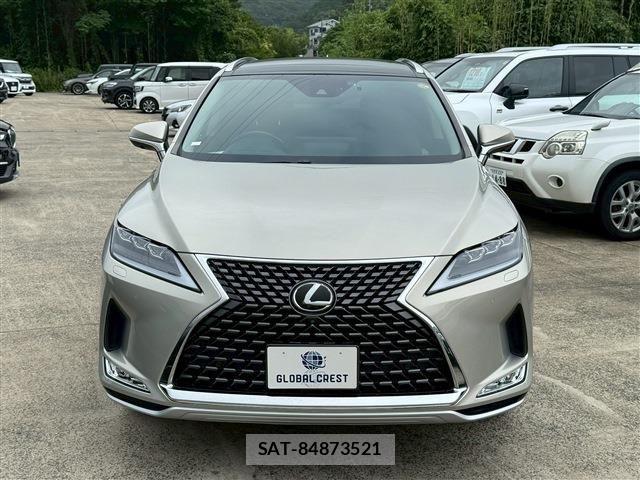 Lexus RX 2021-03 8074389-9