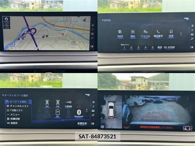 Lexus RX 2021-03 8074389-26