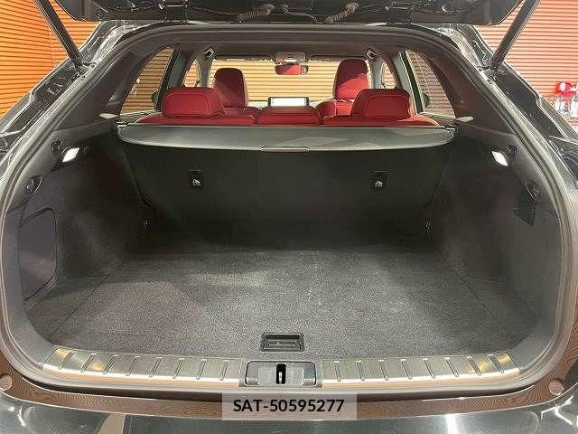 Lexus RX 2021-07 8146086-12