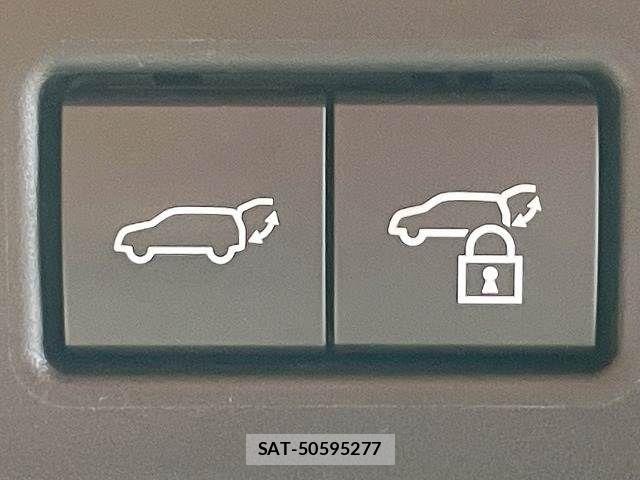 Lexus RX 2021-07 8146086-6