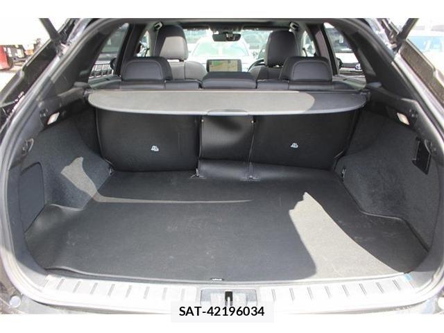 Lexus RX 2019-11 8366781-28