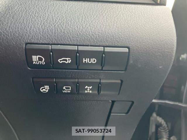 Lexus RX 2020-01 8659998-15