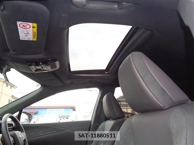 Lexus RX 2025-06 6815748-9
