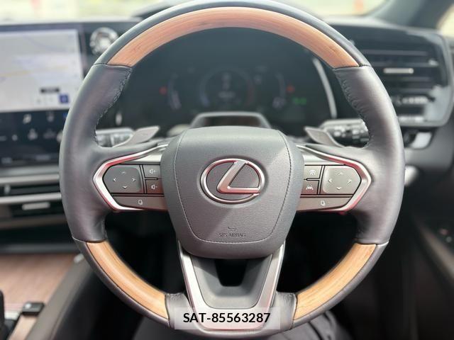 Lexus RX 2024-11 7455474-13