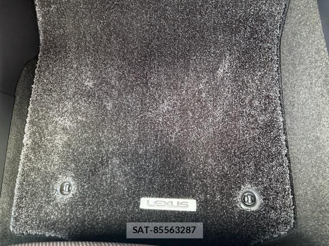 Lexus RX 2024-11 7455474-28
