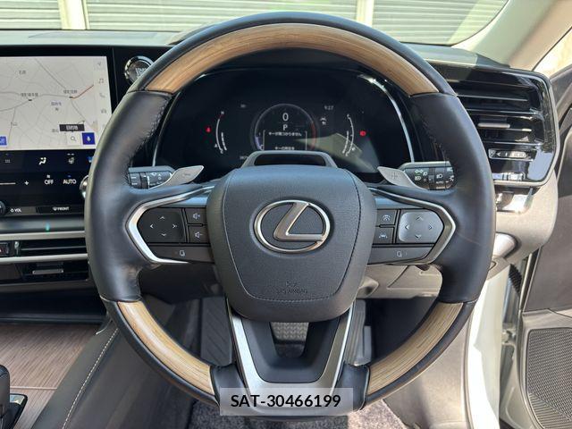 Lexus RX 2023-07 7962454-13
