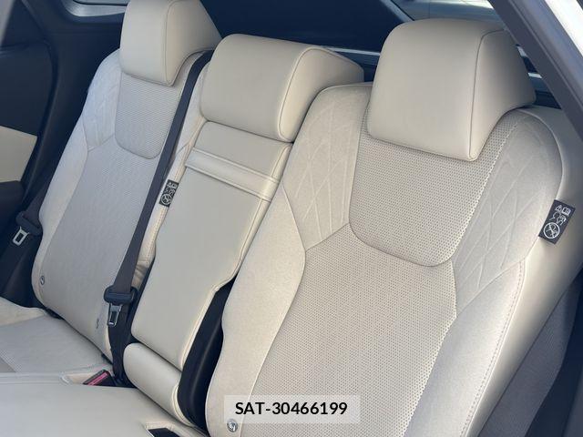 Lexus RX 2023-07 7962454-19