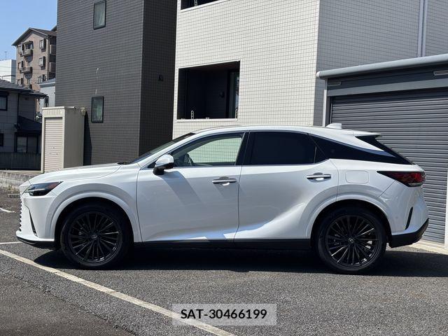 Lexus RX 2023-07 7962454-3