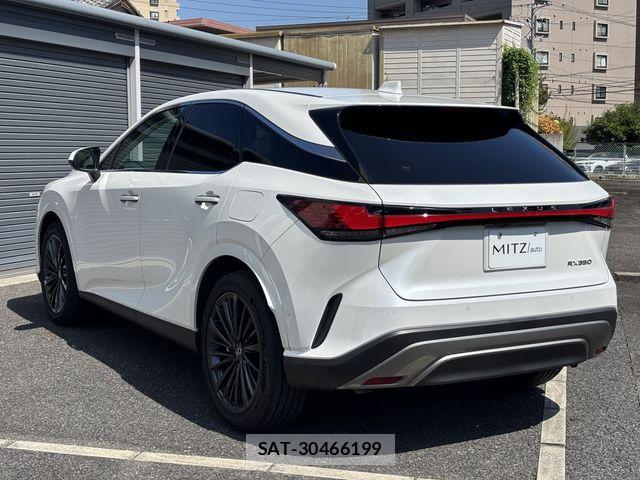 Lexus RX 2023-07 7962454-7
