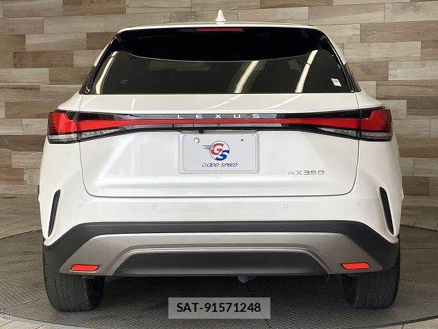 Lexus RX 2023-11 8336599-14