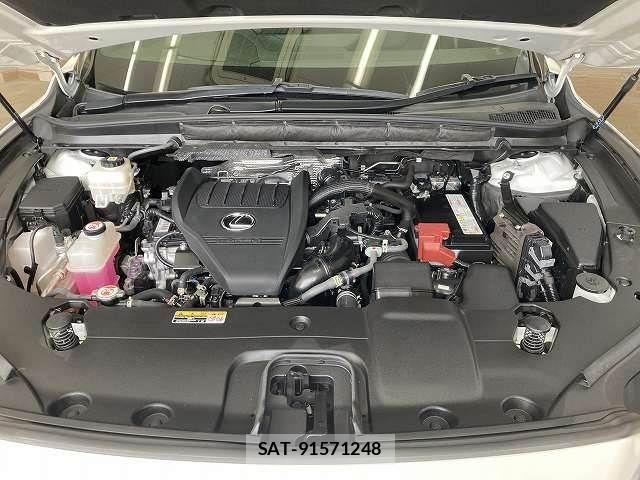 Lexus RX 2023-11 8336599-17