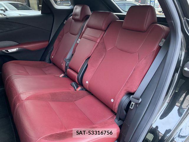 Lexus RX 2023-06 2963078-13