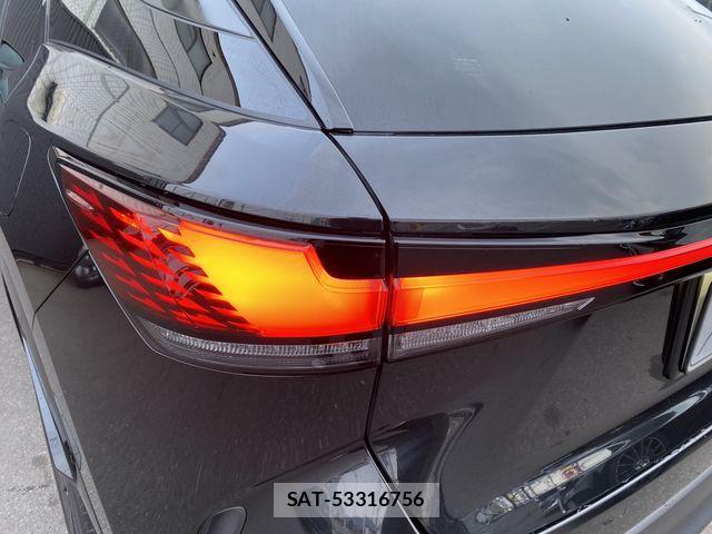 Lexus RX 2023-06 2963078-25
