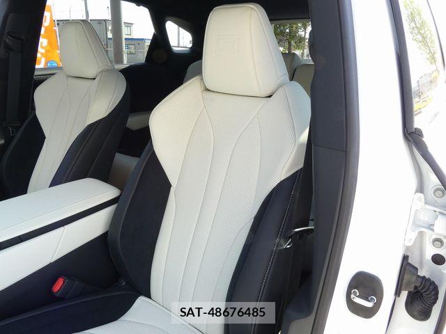Lexus RX 2025-05 6245279-16