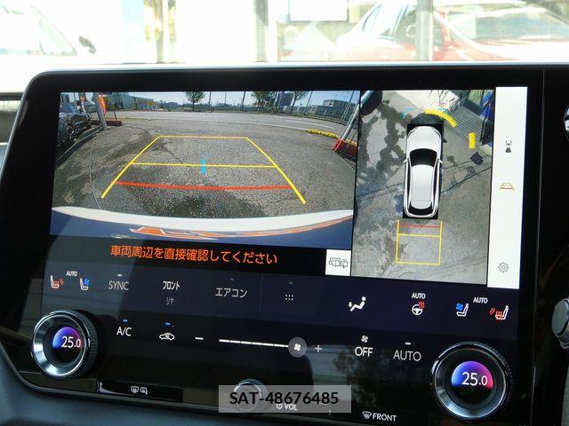 Lexus RX 2025-05 6245279-19