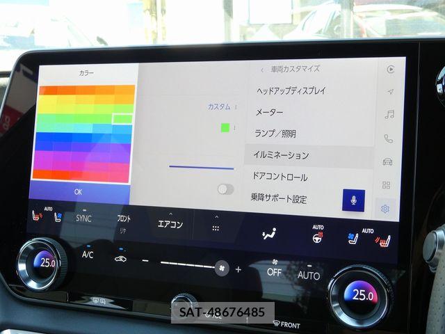 Lexus RX 2025-05 6245279-24